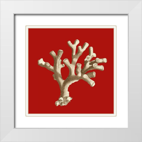 Small Coral on Red II White Modern Wood Framed Art Print with Double Matting by Vision Studio