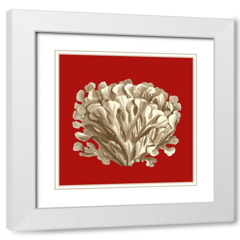 Small Coral on Red III White Modern Wood Framed Art Print with Double Matting by Vision Studio