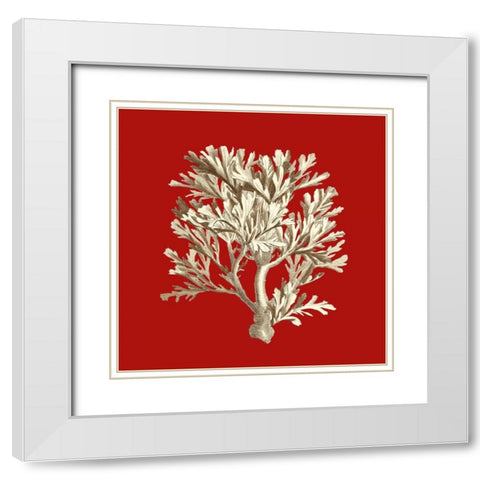 Small Coral on Red IV White Modern Wood Framed Art Print with Double Matting by Vision Studio