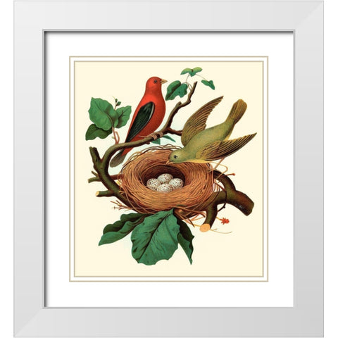 Feathering Nest II White Modern Wood Framed Art Print with Double Matting by Unknown