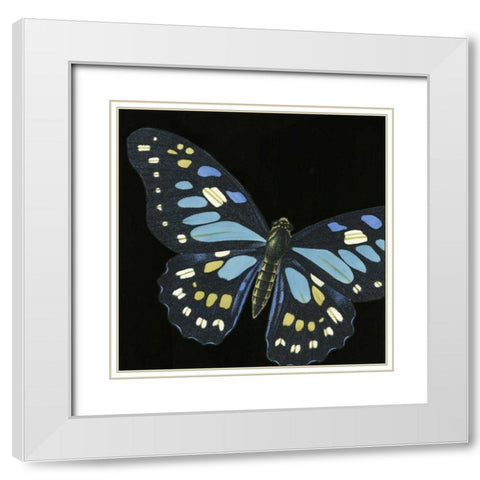 Small Dramatic Butterflies II White Modern Wood Framed Art Print with Double Matting by Vision Studio