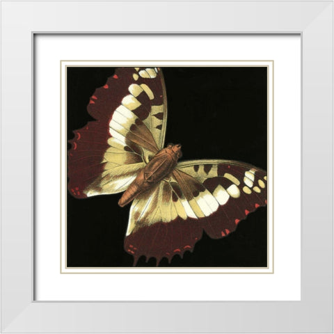 Small Dramatic Butterflies IV White Modern Wood Framed Art Print with Double Matting by Vision Studio