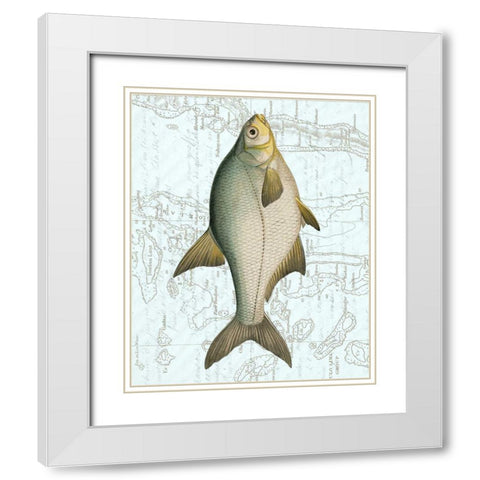 Freshwater I White Modern Wood Framed Art Print with Double Matting by Vision Studio