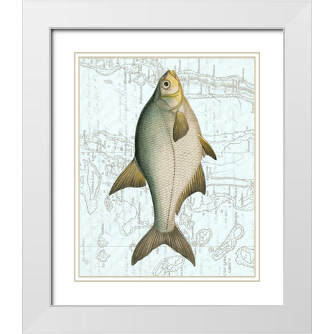 Freshwater I White Modern Wood Framed Art Print with Double Matting by Vision Studio