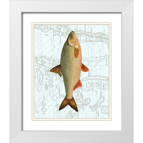 Freshwater III White Modern Wood Framed Art Print with Double Matting by Vision Studio