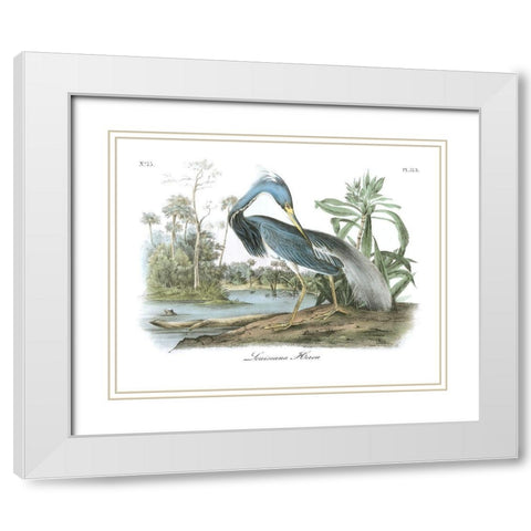 Louisiana Heron White Modern Wood Framed Art Print with Double Matting by Audubon, John James
