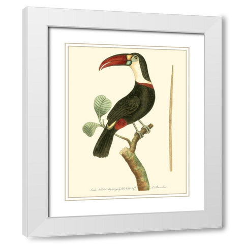 Crimson Birds VI White Modern Wood Framed Art Print with Double Matting by Nodder, Frederick P.