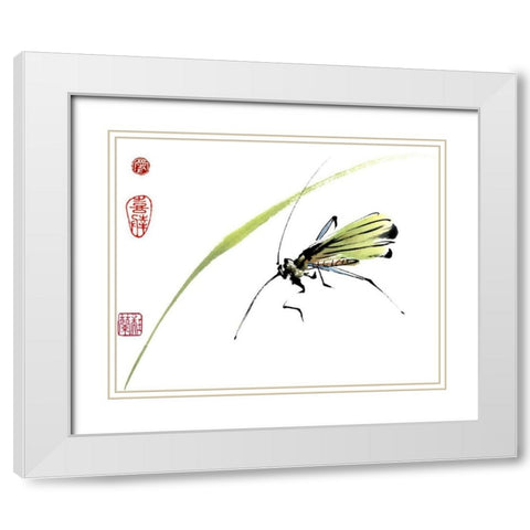 Grasshopper White Modern Wood Framed Art Print with Double Matting by Parker, Nan Rae