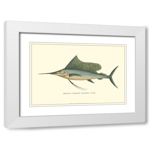 Broad Finned Sword-Fish White Modern Wood Framed Art Print with Double Matting by Vision Studio
