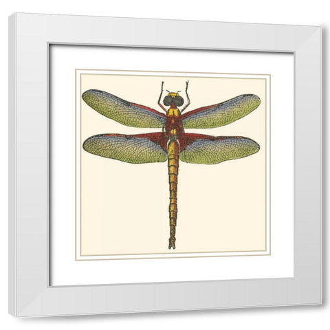 Miniature Dragonfly IV White Modern Wood Framed Art Print with Double Matting by Vision Studio