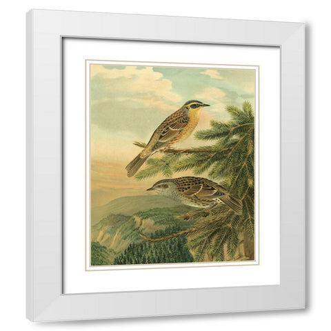 Small Woodland Birds I White Modern Wood Framed Art Print with Double Matting by Vision Studio