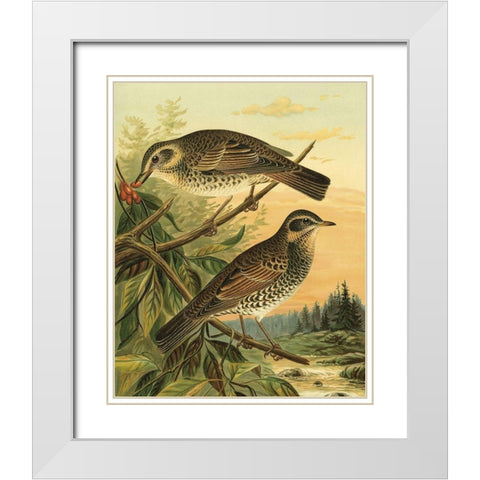 Small Woodland Birds II White Modern Wood Framed Art Print with Double Matting by Vision Studio