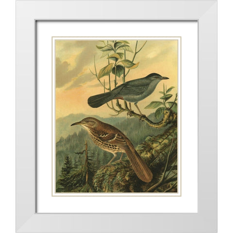 Small Woodland Birds IV White Modern Wood Framed Art Print with Double Matting by Vision Studio