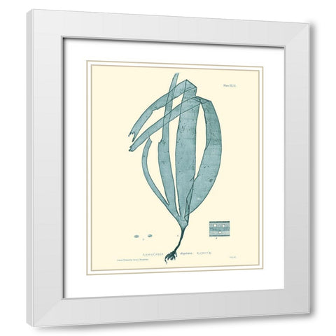Nature Print in Aqua II White Modern Wood Framed Art Print with Double Matting by Vision Studio