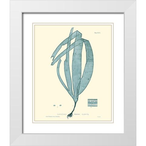Nature Print in Aqua II White Modern Wood Framed Art Print with Double Matting by Vision Studio