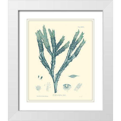 Nature Print in Aqua III White Modern Wood Framed Art Print with Double Matting by Vision Studio