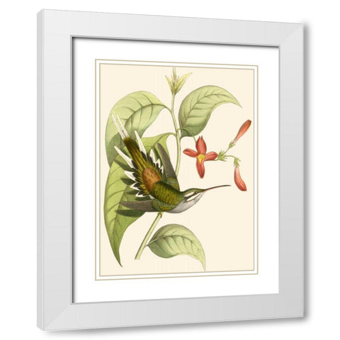 Delicate Hummingbird I White Modern Wood Framed Art Print with Double Matting by Vision Studio