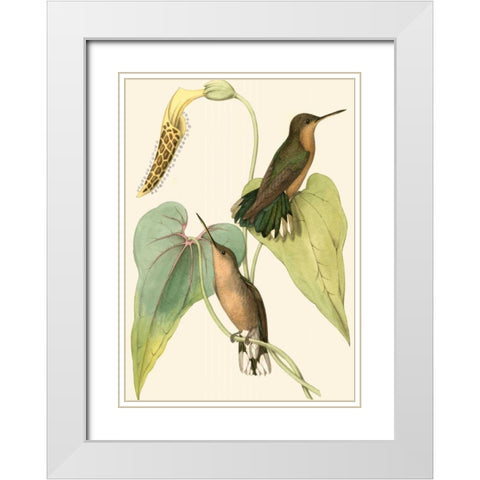 Delicate Hummingbird II White Modern Wood Framed Art Print with Double Matting by Vision Studio