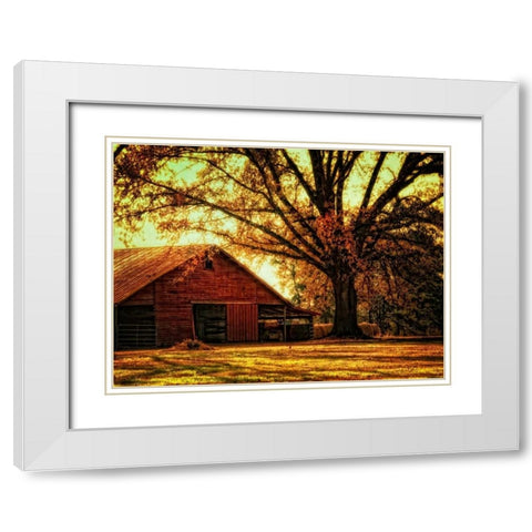 Last Tree Standing White Modern Wood Framed Art Print with Double Matting by Head, Danny