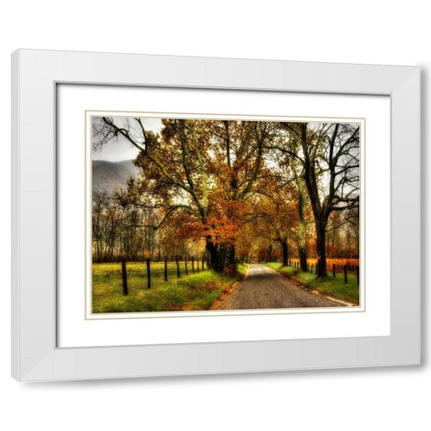 Rainy Morning on Sparks Lane White Modern Wood Framed Art Print with Double Matting by Head, Danny