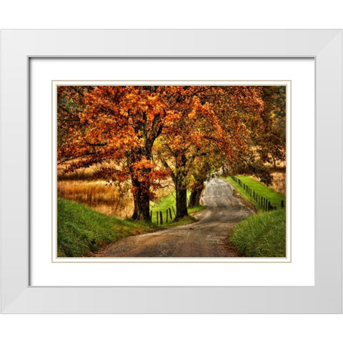 Rainy Morning on Hyatt Lane White Modern Wood Framed Art Print with Double Matting by Head, Danny