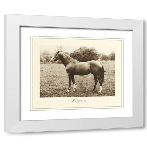 Veronese White Modern Wood Framed Art Print with Double Matting by Hailey, Clarence