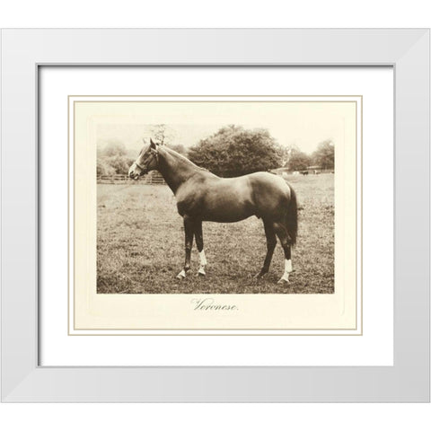 Veronese White Modern Wood Framed Art Print with Double Matting by Hailey, Clarence