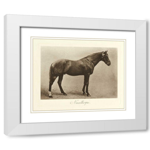 Nunthorpe White Modern Wood Framed Art Print with Double Matting by Hailey, Clarence