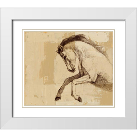 Majestic Horse II White Modern Wood Framed Art Print with Double Matting by Harper, Ethan