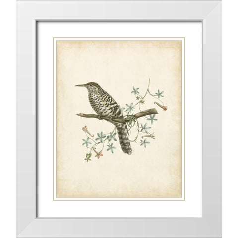Delicate Birds IV White Modern Wood Framed Art Print with Double Matting by Unknown
