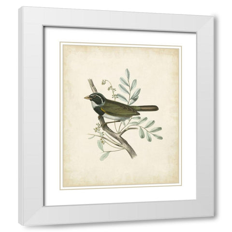 Delicate Birds VI White Modern Wood Framed Art Print with Double Matting by Unknown
