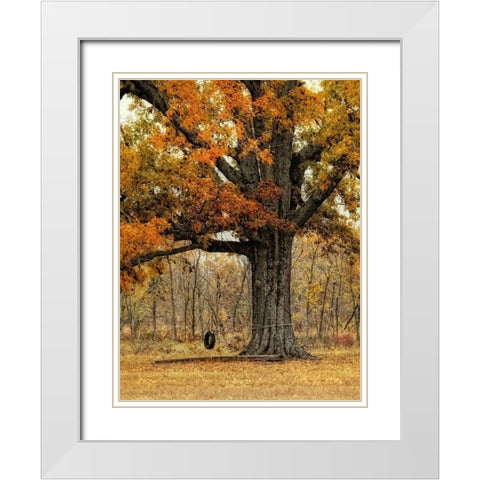 Tree Swing White Modern Wood Framed Art Print with Double Matting by Head, Danny