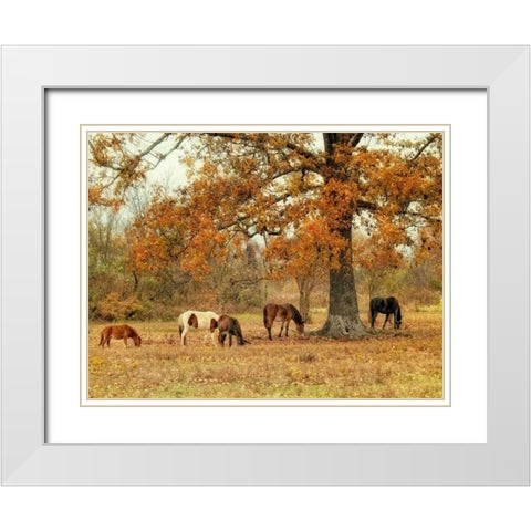 Calmly Grazing White Modern Wood Framed Art Print with Double Matting by Head, Danny