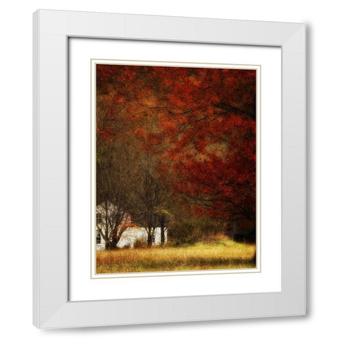 Beyond Octobers Maple White Modern Wood Framed Art Print with Double Matting by Head, Danny
