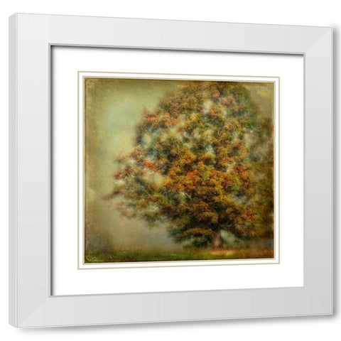 Autumns Dream White Modern Wood Framed Art Print with Double Matting by Head, Danny