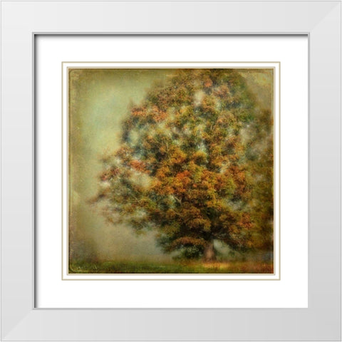 Autumns Dream White Modern Wood Framed Art Print with Double Matting by Head, Danny