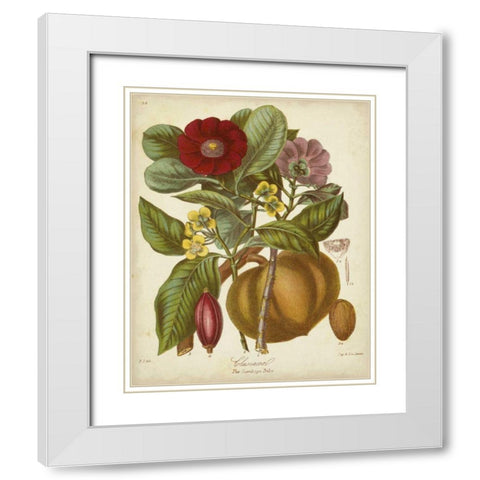 Twining Botanicals I White Modern Wood Framed Art Print with Double Matting by Twining, Elizabeth