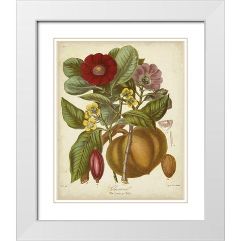Twining Botanicals I White Modern Wood Framed Art Print with Double Matting by Twining, Elizabeth