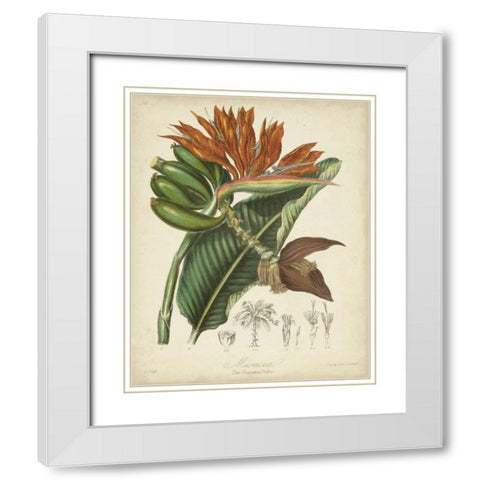 Twining Botanicals III White Modern Wood Framed Art Print with Double Matting by Twining, Elizabeth