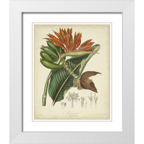Twining Botanicals III White Modern Wood Framed Art Print with Double Matting by Twining, Elizabeth