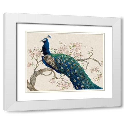 Peacock and Blossoms II White Modern Wood Framed Art Print with Double Matting by OToole, Tim