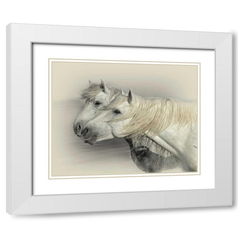 Curiosity White Modern Wood Framed Art Print with Double Matting by PHBurchett