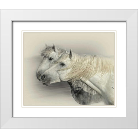 Curiosity White Modern Wood Framed Art Print with Double Matting by PHBurchett