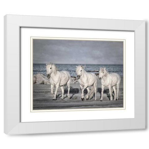 Morning Run White Modern Wood Framed Art Print with Double Matting by PHBurchett