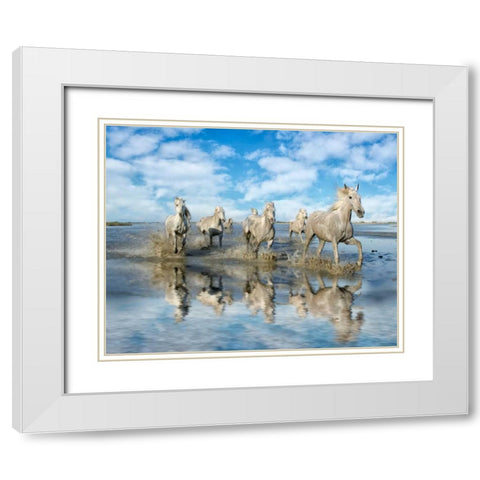 On the Run White Modern Wood Framed Art Print with Double Matting by PHBurchett