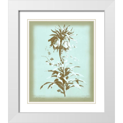 Dussurgey Imperiale on Blue White Modern Wood Framed Art Print with Double Matting by Dussurgey, Chabal