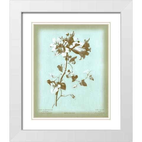 Dussurgey Amaryllis on Blue White Modern Wood Framed Art Print with Double Matting by Dussurgey, Chabal