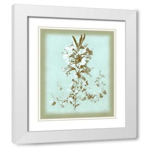 Dussurgey Lilium on Blue White Modern Wood Framed Art Print with Double Matting by Dussurgey, Chabal