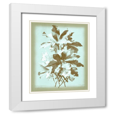 Dussurgey Ellebore on Blue White Modern Wood Framed Art Print with Double Matting by Dussurgey, Chabal