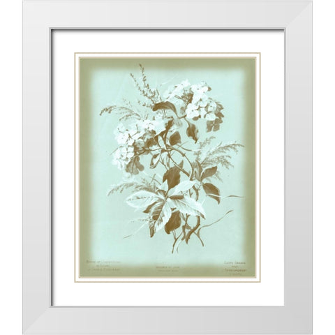 Dussurgey Hydrangea on Blue White Modern Wood Framed Art Print with Double Matting by Dussurgey, Chabal